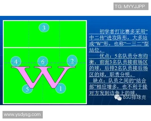 北京排球队防反体系解析:战术布局与实战应用探讨 北京排球队防反体系解析:战术布局与实战应用探讨