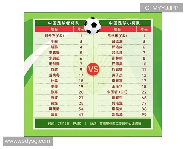 中国现代足球明星排名揭晓谁将成为未来之星与传奇的交汇点 中国现代足球明星排名揭晓谁将成为未来之星与传奇的交汇点