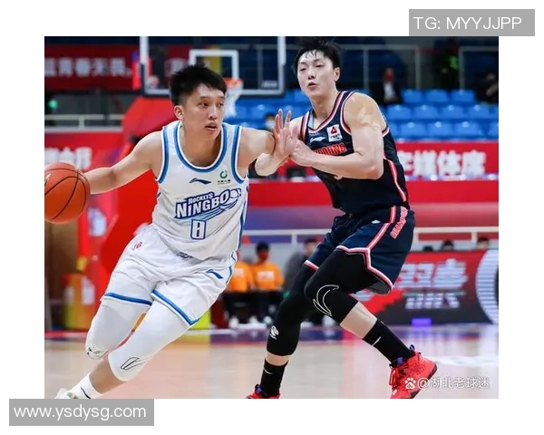 上海排球队以92分领跑精英赛积分榜展现强劲实力