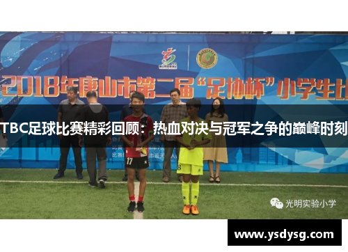 TBC足球比赛精彩回顾：热血对决与冠军之争的巅峰时刻