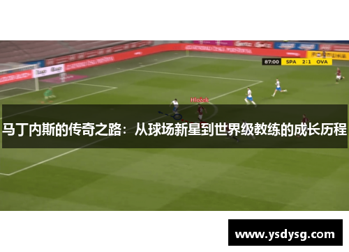马丁内斯的传奇之路：从球场新星到世界级教练的成长历程